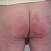 hg01225.jpg