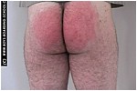 hg01323.jpg
